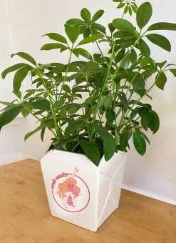 Valfré New Take Out Ceramic Planter